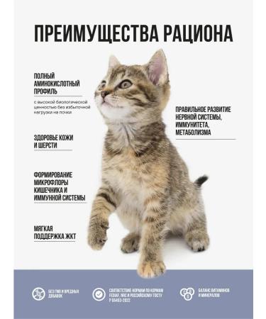 BOWL WOW Dry food for kittens with chicken and blueberries - 1.5 kg - Buy Online on GoSupps.com