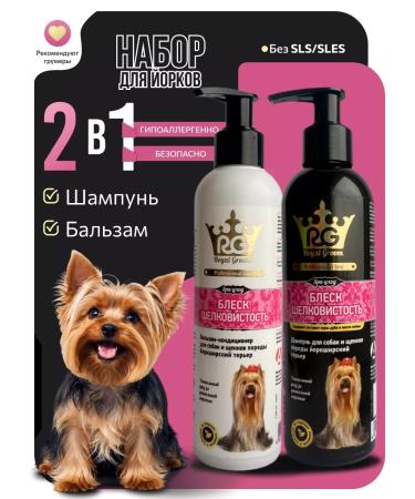 Apicenna Royal Growom Shampoo and Yorki air conditioning