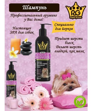 Apicenna Royal Growom Shampoo and Yorki air conditioning - Buy Online on GoSupps.com