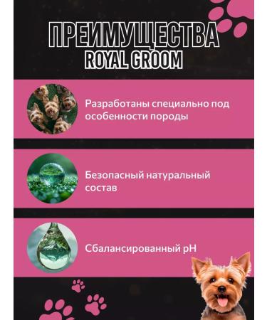 Apicenna Royal Growom Shampoo and Yorki air conditioning - Buy Online on GoSupps.com