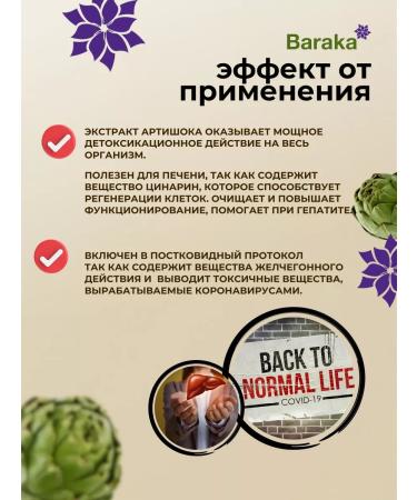 Baraka Barack's artichoke hood - 3 pcs - Buy Online on GoSupps.com