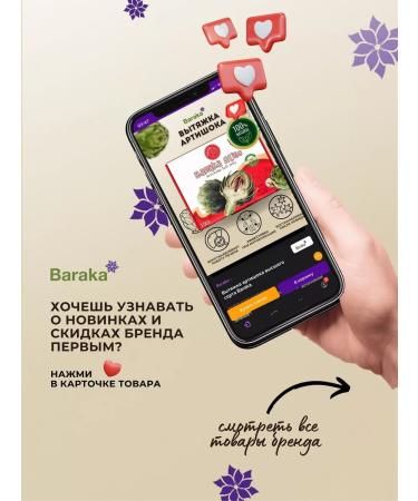 Baraka Barack's artichoke hood - 3 pcs - Buy Online on GoSupps.com