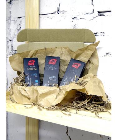 silapant A set of male cosmetics with pantogematogen No. 5 (3 means)