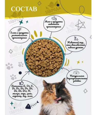 TASTY For adult cats with chicken 10kg - Buy Online on GoSupps.com