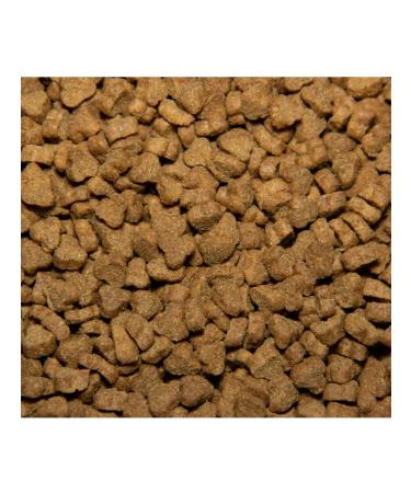 TASTY For adult cats with chicken 10kg - Buy Online on GoSupps.com