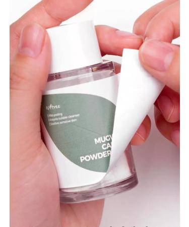 Isntree Enzyme powder with wormwood for problem skin 15 g