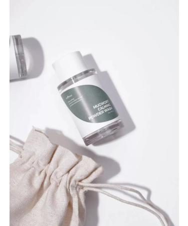 Isntree Enzyme powder with wormwood for problem skin 15 g - Buy Online on GoSupps.com