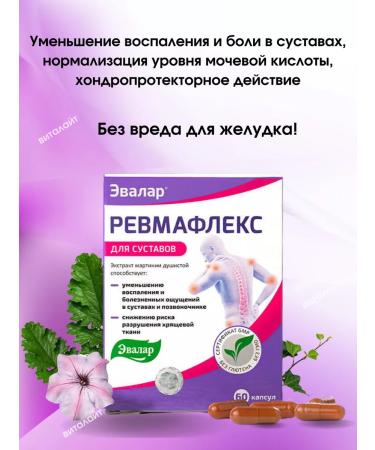 Evalar Rheumatlex capsules 60 pcs 310 mg+bio tea for the joints - Buy Online on GoSupps.com