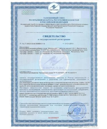 Art Life Memori Rice Active brain work artlaif - Buy Online on GoSupps.com