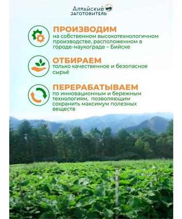 Altai procurement officer Burdock root in capsules 120 pcs - Buy Online on GoSupps.com