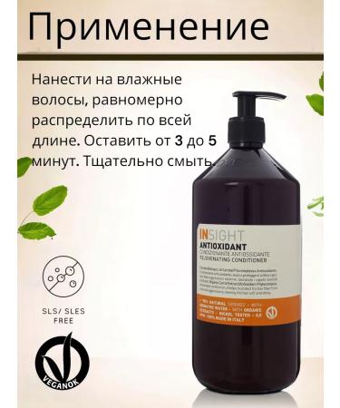 INsight Antioxidant Air conditioner for overloaded hair 900ml - Buy Online on GoSupps.com
