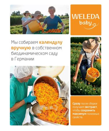 WELEDA Children's face cream with calendula 50 ml - Buy Online on GoSupps.com