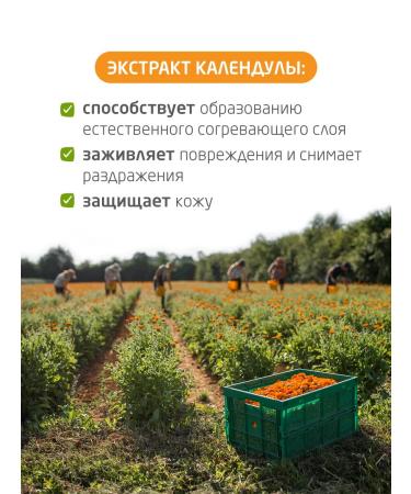 WELEDA Children's face cream with calendula 50 ml - Buy Online on GoSupps.com