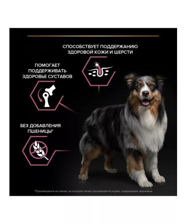 PRO PLAN Dry food for dogs with sensitive skin salmon 3kg - Buy Online on GoSupps.com