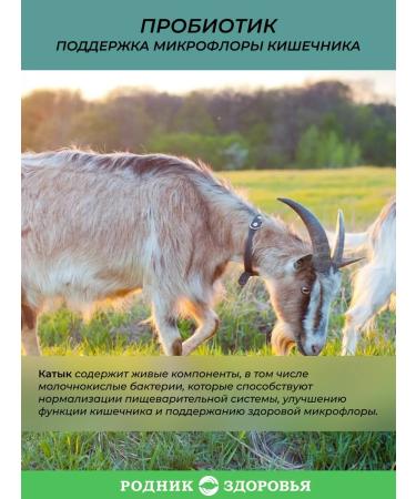 Spring of Health Katyk probiotics for the intestines - Buy Online on GoSupps.com