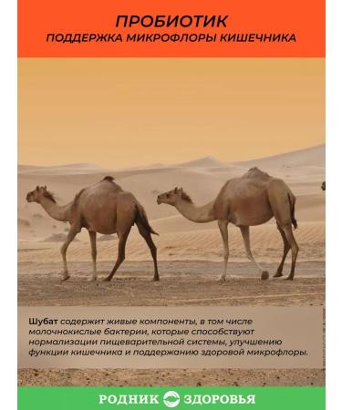 Spring of Health Shubat probiotic complex - Buy Online on GoSupps.com