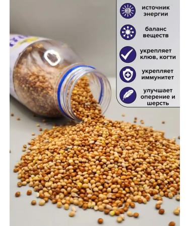 LittleShark Millet for parrots and birds - Buy Online on GoSupps.com
