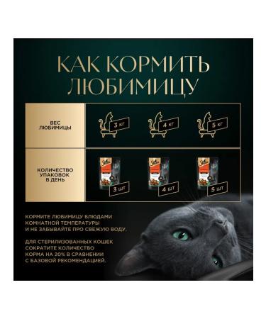 Sheba Cat food for cats Wet veal jelly 75 g 28 pcs - Buy Online on GoSupps.com