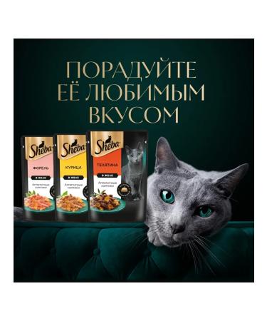Sheba Cat food for cats Wet veal jelly 75 g 28 pcs - Buy Online on GoSupps.com
