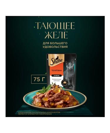 Sheba Cat food for cats Wet veal jelly 75 g 28 pcs - Buy Online on GoSupps.com