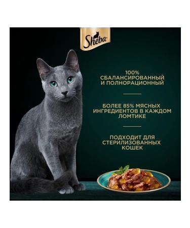 Sheba Cat food for cats Wet veal jelly 75 g 28 pcs - Buy Online on GoSupps.com