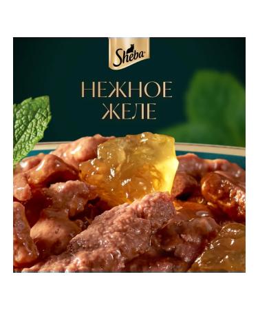 Sheba Cat food for cats Wet veal jelly 75 g 28 pcs - Buy Online on GoSupps.com