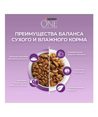 PURINA ONE Dry food for fastidious cats duck liver 0.75 kg - Buy Online on GoSupps.com