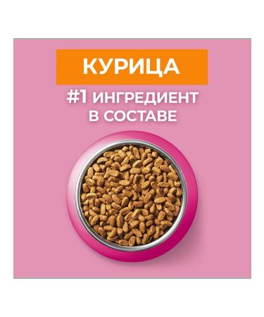 PURINA ONE Dry food for kittens chicken cereals 0.75 kg - Buy Online on GoSupps.com