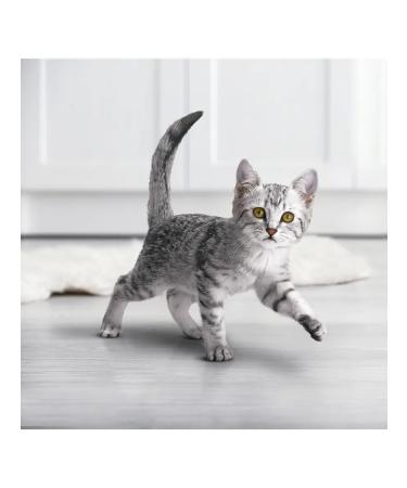 PURINA ONE Dry food for kittens chicken cereals 0.75 kg - Buy Online on GoSupps.com