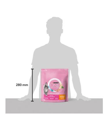 PURINA ONE Dry food for kittens chicken cereals 0.75 kg - Buy Online on GoSupps.com