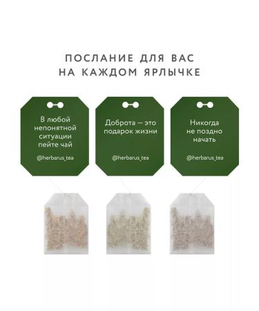 Herbarus Tea green ginger mint 24 bags - Buy Online on GoSupps.com