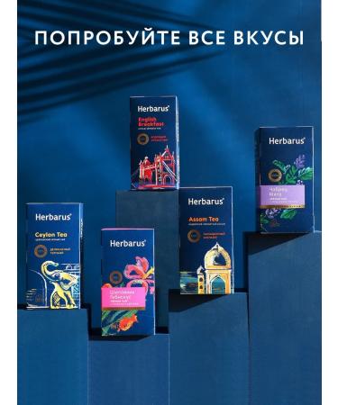 Herbarus Tea green ginger mint 24 bags - Buy Online on GoSupps.com