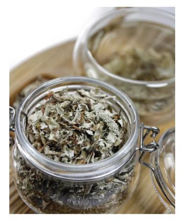 Grow Up Tea drink 250 g Icelandic moss (cetraria) - dry lichen