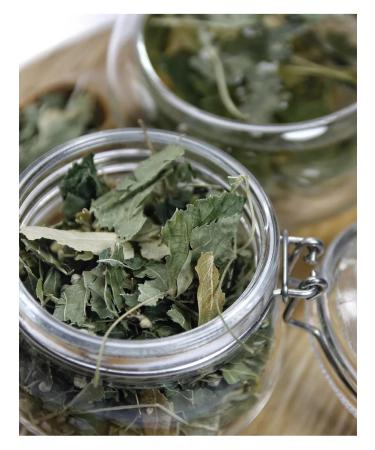 Grow Up Tea drink 250 g Linden - dry chopped leaf tea