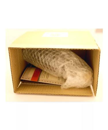 Altai taiga health resort Gold root pink radio - Buy Online on GoSupps.com