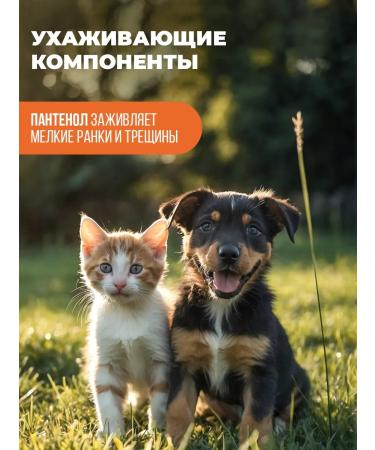 Spets Kittens and puppies hypoallergenic shampoo 500 ml - Buy Online on GoSupps.com