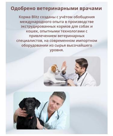 BLITZ Dry food for dogs of small species 1.8 kg lamb - Buy Online on GoSupps.com