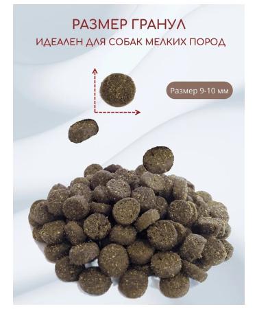 BLITZ Dry food for dogs of small species 1.8 kg lamb - Buy Online on GoSupps.com