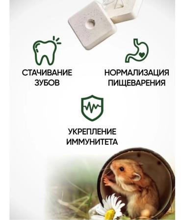 Zoomir Mineral stones for rabbits of rats and hamsters 2pcs - Buy Online on GoSupps.com