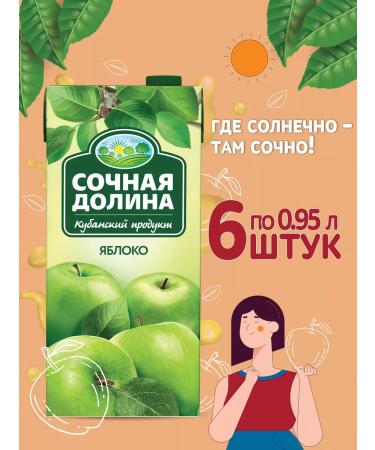 Juicy Valley Apple drink 0.95 l x 6 pcs