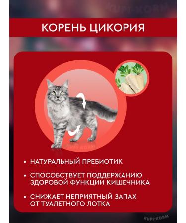 PURINA ONE Feed for sterilized cats with beef 3 kg - Buy Online on GoSupps.com