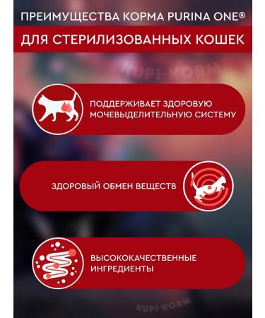 PURINA ONE Feed for sterilized cats with beef 3 kg - Buy Online on GoSupps.com