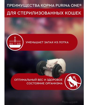 PURINA ONE Feed for sterilized cats with beef 3 kg - Buy Online on GoSupps.com