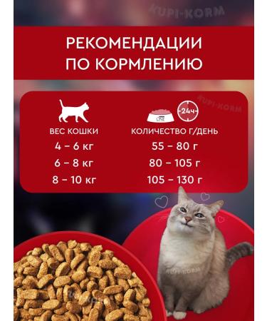 PURINA ONE Feed for sterilized cats with beef 3 kg - Buy Online on GoSupps.com