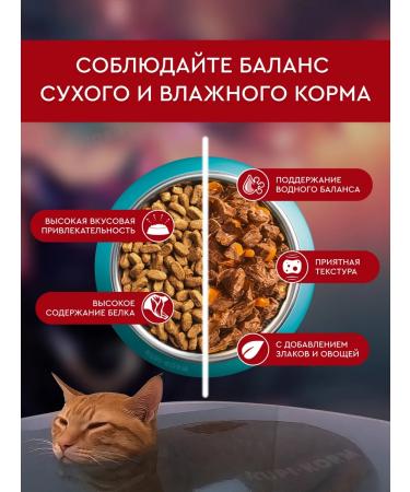PURINA ONE Feed for sterilized cats with beef 3 kg - Buy Online on GoSupps.com