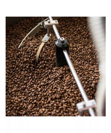 TSOK TSOK Coffee in Colombia excelso 500 grams - Buy Online on GoSupps.com