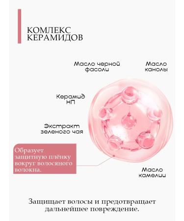 AMOS Professional Hair shampoo Professional Amos True Repair Korea - Buy Online on GoSupps.com