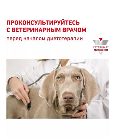 ROYAL CANIN Canned food for Dogs Urinary S o 410 g - Buy Online on GoSupps.com