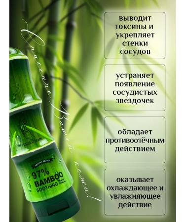 New Year's gifts Bamboo - Buy Online on GoSupps.com