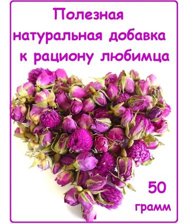 EMPIRE OF TEA Goodies for chinchillas hamsters and birds - Buy Online on GoSupps.com